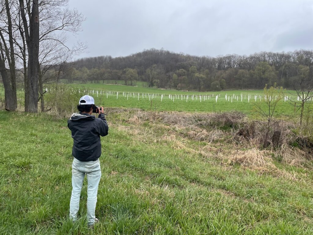 Ben Lochner-Wright of AgroForestry Land (AFL) photographing alley cropping system of Chestnut trees at Savanna Institute's agroforestry demonstration farm.