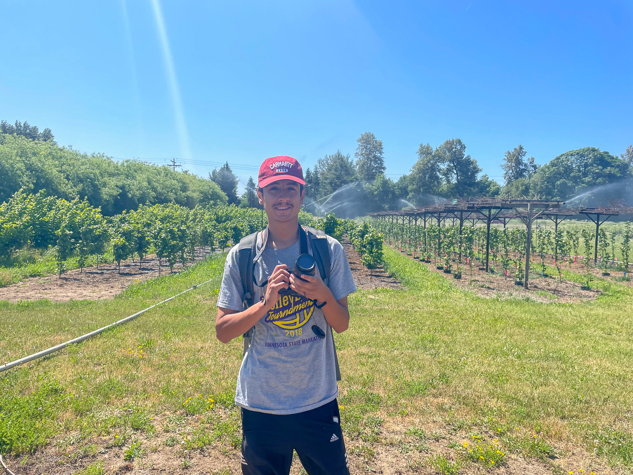 Ben Lochner-Wright creator of AgroForestry Land (AFL) in front of Hazelnut agroforestry alley cropping system being irrigated.